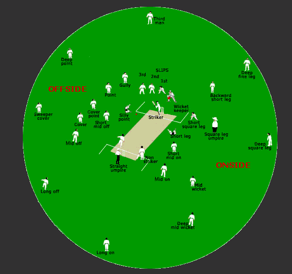 Best Fielding Position In Cricket CricketBio