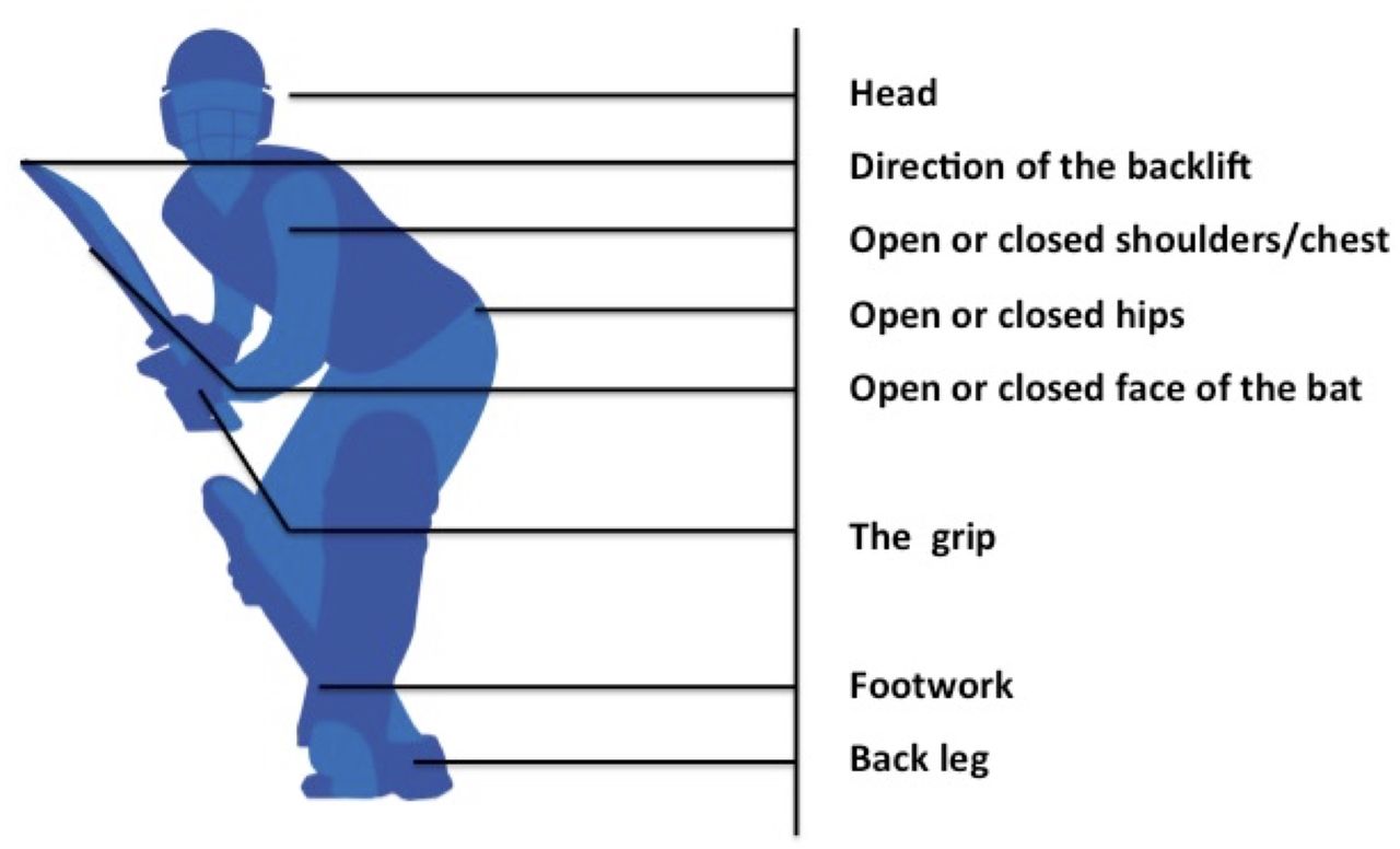 How to Improve Your Batting in Cricket Top 5 Batting Drills CricketBio